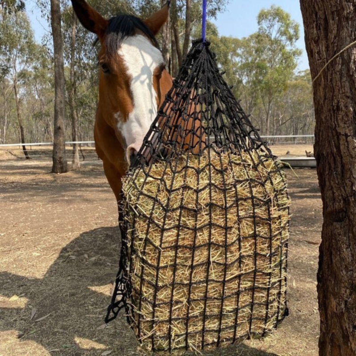 AussieGrazersSquareBaleHalf