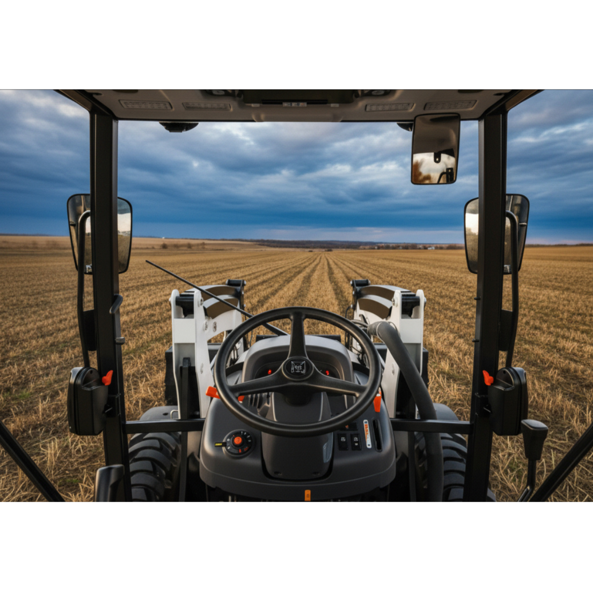 Bobcat_6580_Canopy