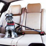 ClickCarRestraintDogBlack