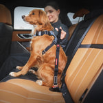 Click_Car_Restraint_Zero_Shock_Dog