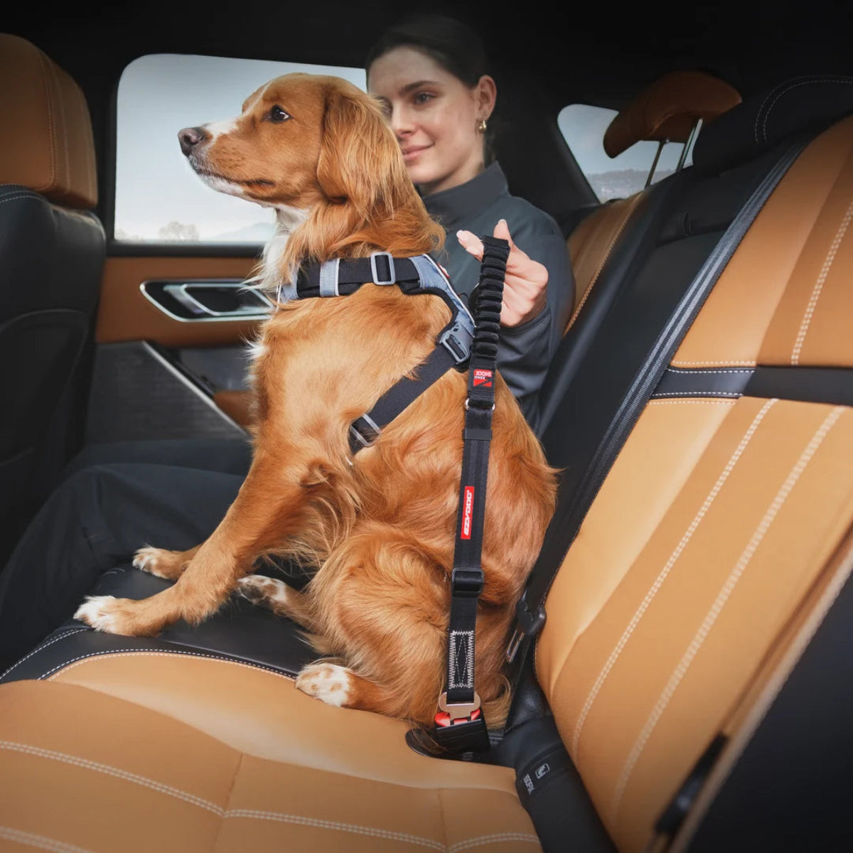 Click_Car_Restraint_Zero_Shock_Dog