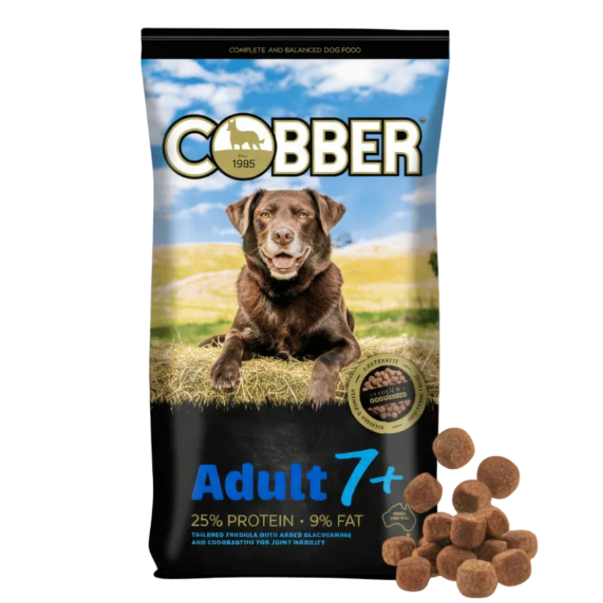 Cobber Adult 7+