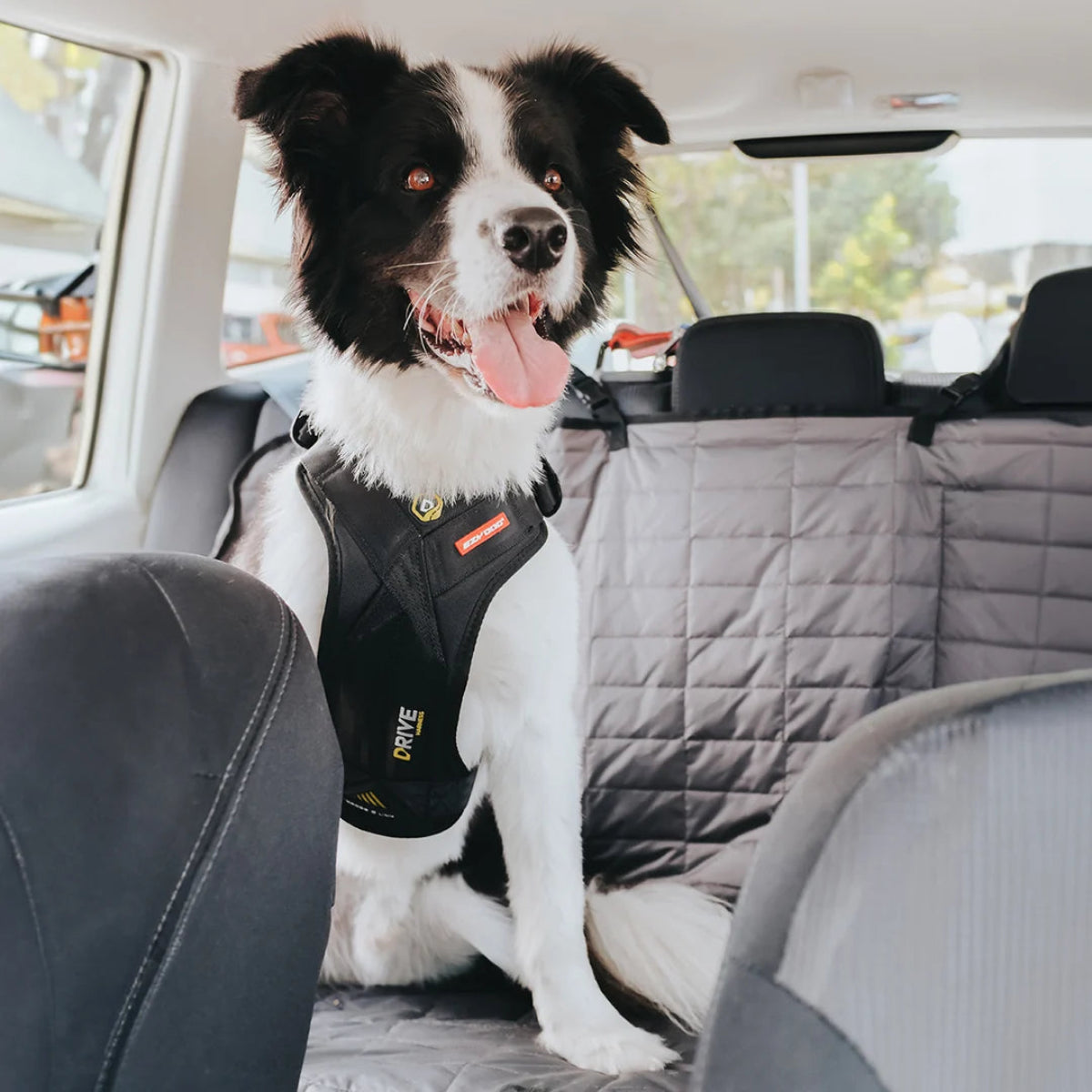 DriveCarHarnessDog