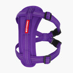 EssentialHarnessPurple