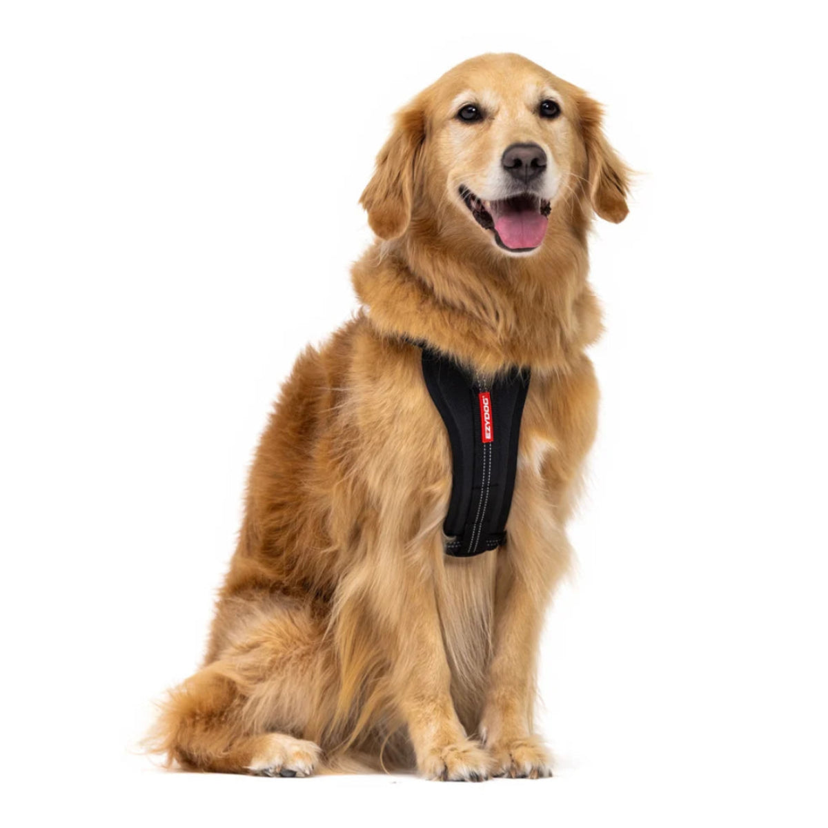 Essential_Harness_Dog