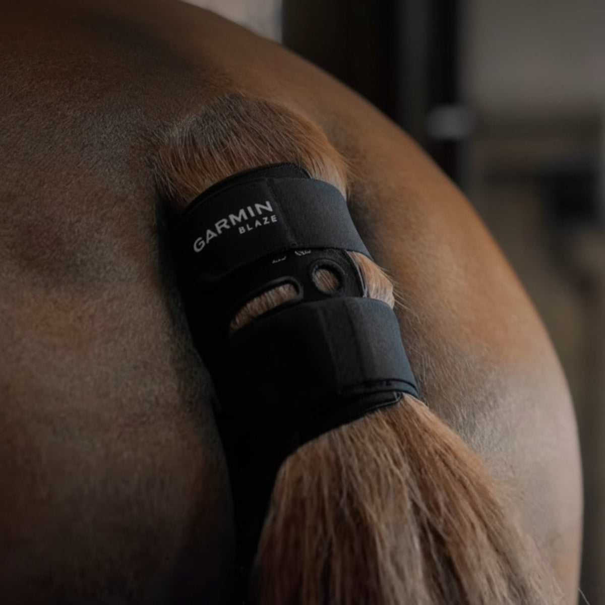 Garmin_Blaze_Horse