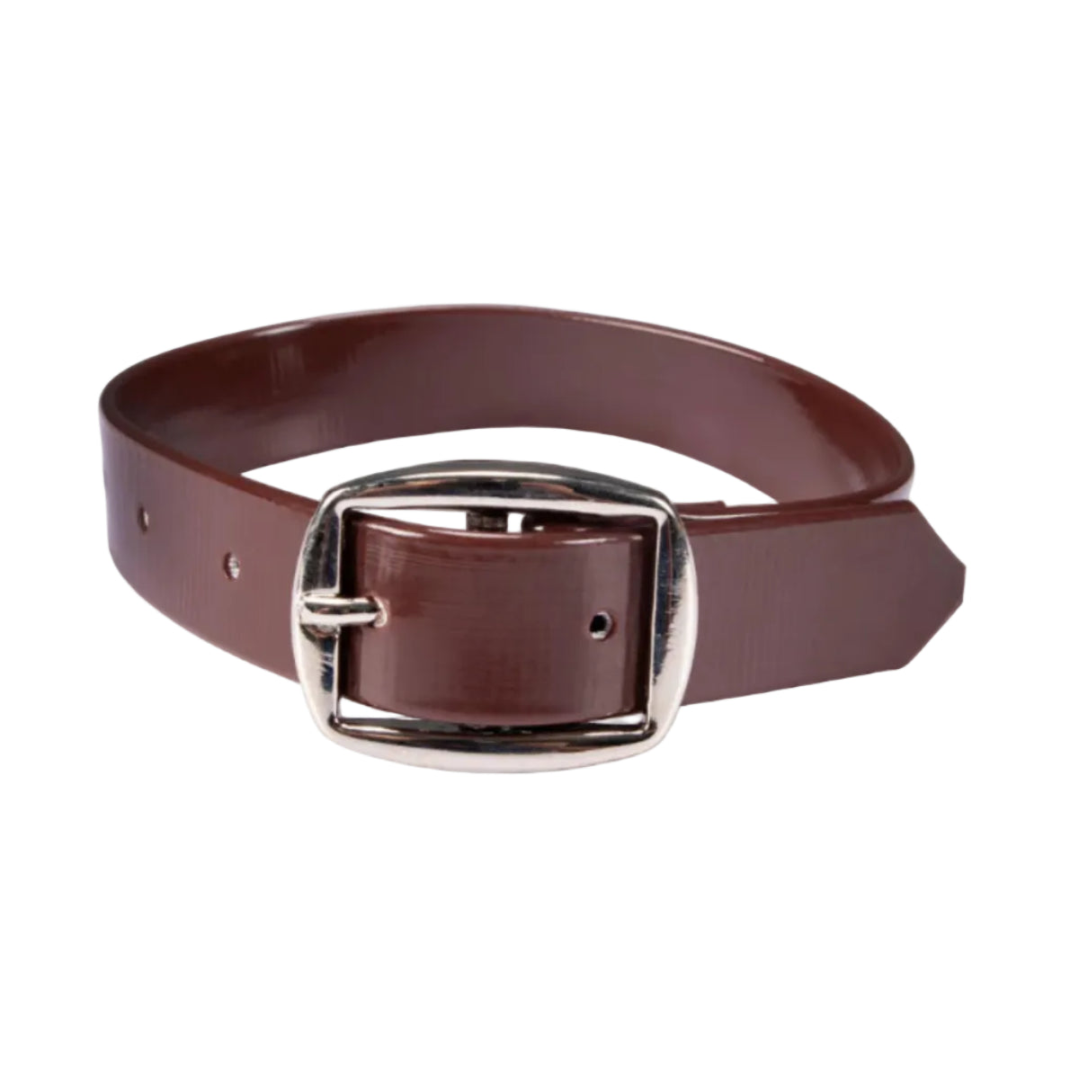 HorseSense_Chest_Strap