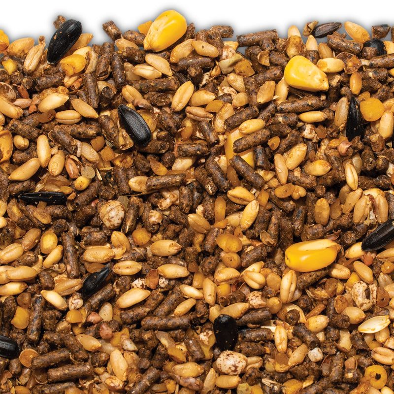 Red Hen Blue Bag Grain