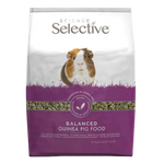 Science Selective Adult Guinea Pig