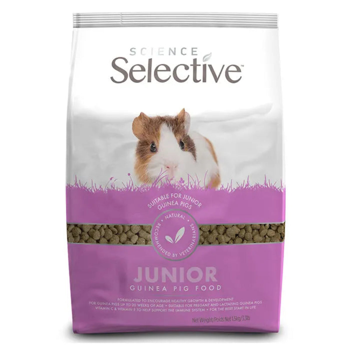 Science Selective Junior Guinea Pig