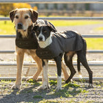 StyxMillOilskinDogCoatBrownDog