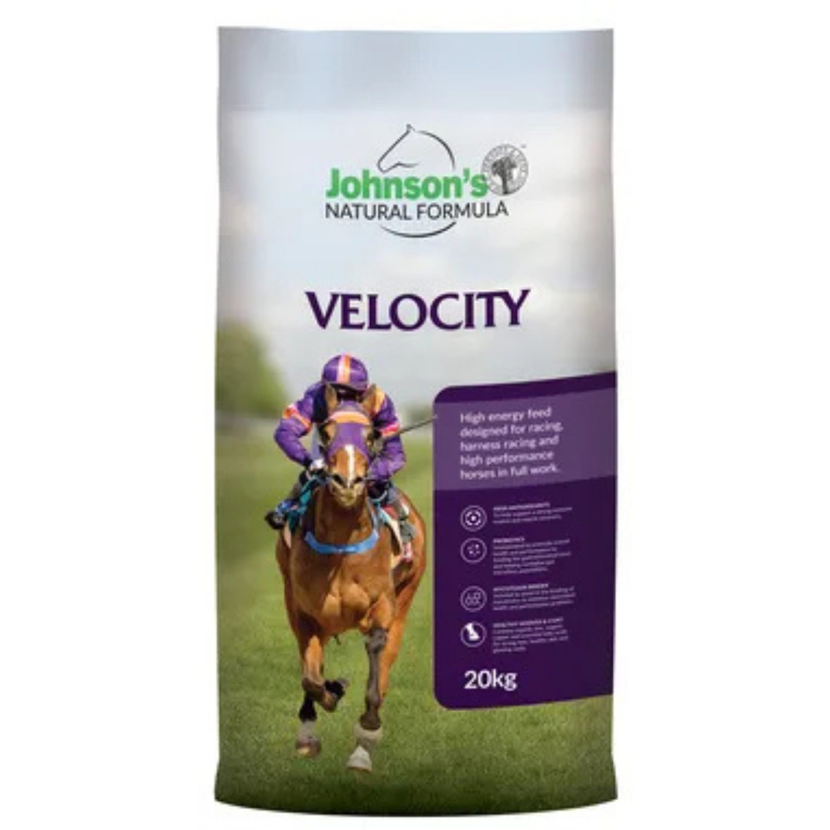 Velocity