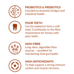 johnsons old timer info