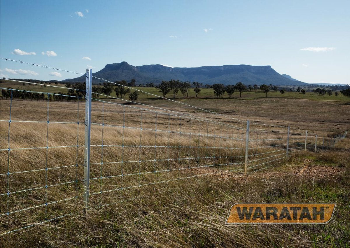 Stocklock® Longlife Blue®
