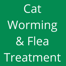 Worming / Flea Treatment