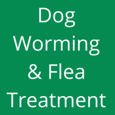 Worming & Flea Treatment