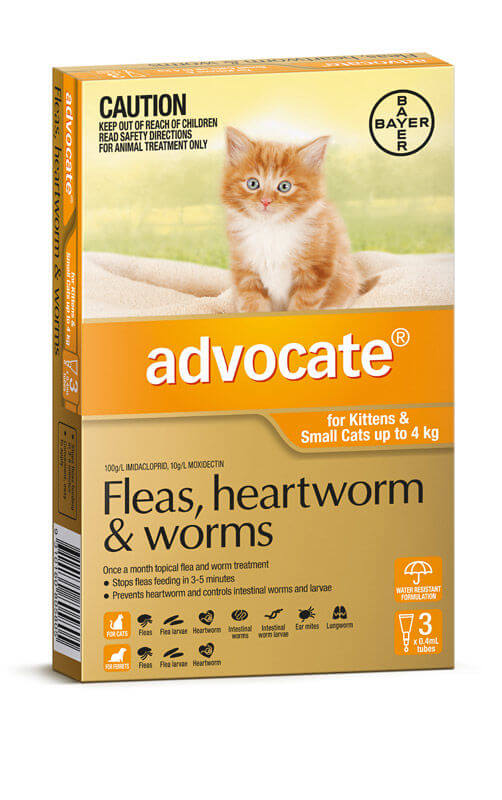 Advocate Cat and kitten  Up to 4kg orange 3and39s 