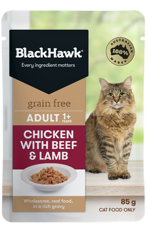 Black Hawk Feline Grain Free Chicken Beef and Lamb 85gm 