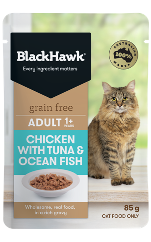 Black Hawk Feline Grain Free Chicken Tuna Ocean Fish 85gm 
