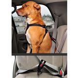 Ezy Dog Car Restraint  Black 