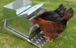 Grandpaand39s Feeders Large Chicken Feeder 