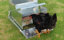 Grandpaand39s Feeders Large Chicken Feeder 