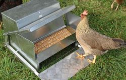 Grandpaand39s Feeders Standard Chicken Feeder 