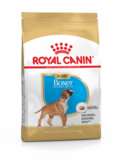 Royal Canin Boxer Junior 12kg 